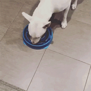 0.2-.gif