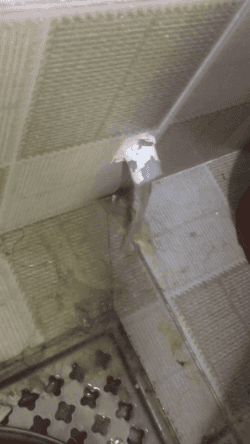 Honeycam 2020-10-11 06-11-23.gif