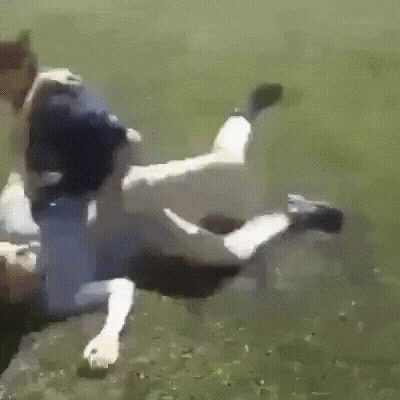 4.gif