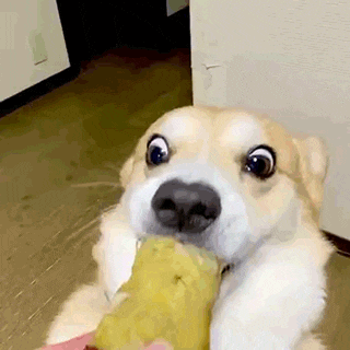 fefb93d499cc74c1db775e667f7555d1be822e1a.gif