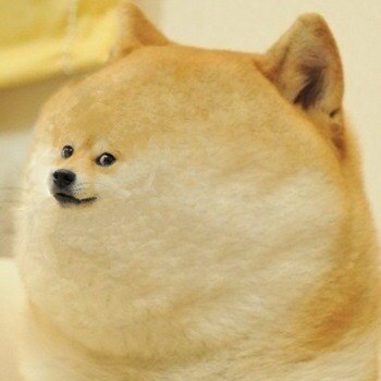 doge_mini.jpg